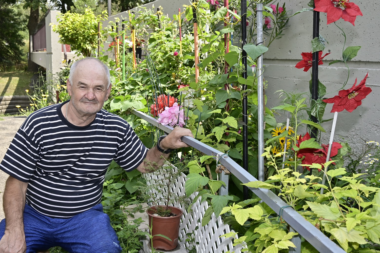 "Les fleurs et les plantes sont ma passion!" nous confie Hasan Selmoni, locataire aux habitations André-Grasset. Photo: Martin Alarie