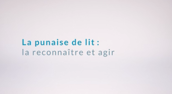 L’OMHM a produit deux vidéos sur les punaises de lit, l’une pour démystifier la punaise et l’autre pour expliquer la préparation du logement en vue d’une extermination.