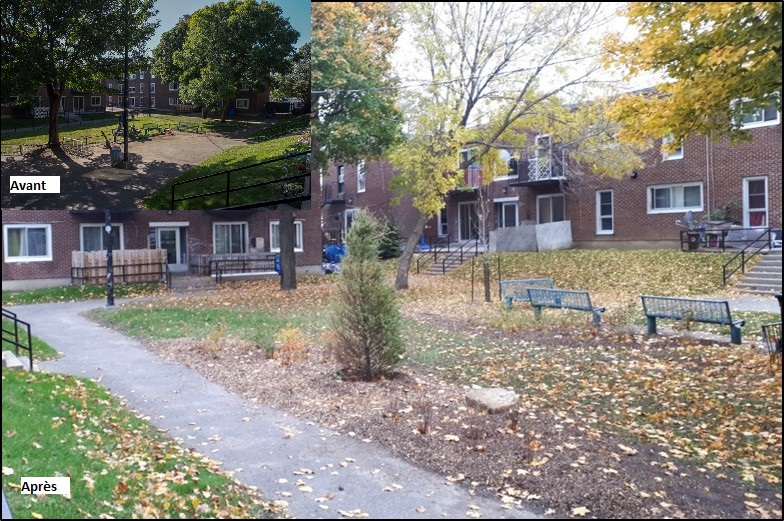 Les travaux d'aménagement paysager se sont déroulés cet automne aux habitations Thomas-Chapais (photo) et Dupéré.