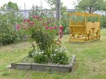 Les locataires des habitations Jardins Claire-Fontaine se mobilisent tous les ans pour embellir leur jardin.