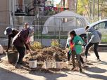 3 arbres, 14 arbustes et 4 plantes grimpantes ont été plantés.