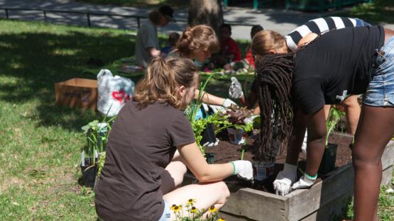Atelier jardinage