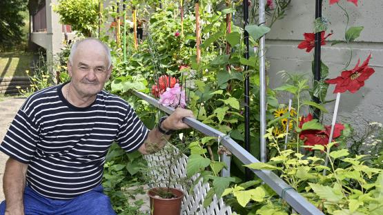 « Les fleurs et les plantes sont ma passion! » Hasan Selmoni, aux habitations André-Grasset. Crédit : Martin Alarie