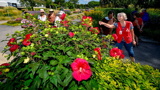 Visite au Jardin botanique