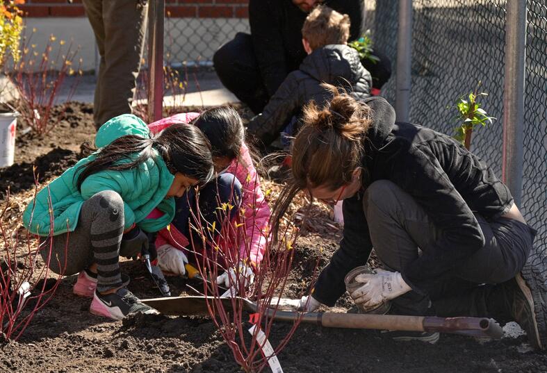 Tree planting at Beaumont habitations