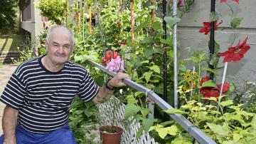 "Les fleurs et les plantes sont ma passion!" nous confie Hasan Selmoni, locataire aux habitations André-Grasset. Photo: Martin Alarie