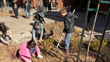 Les enfants ont les mains dans la terre aux habitations Beaumont-Durocher, dans Parc-Extension