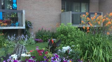 Le Club Fleurs et Jardins est de retour en 2020 en version allégée. 